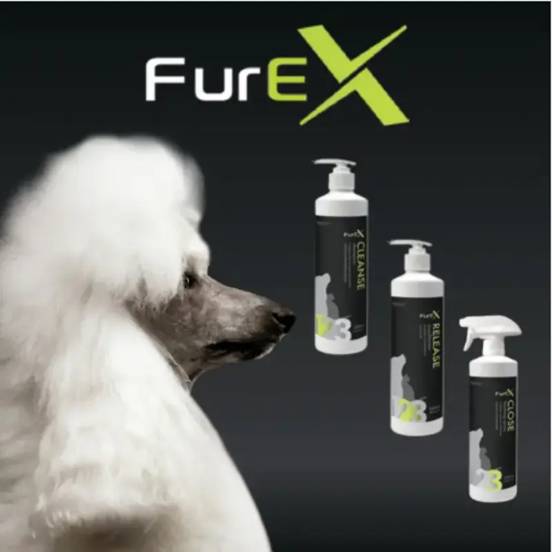 FurEx: три шага